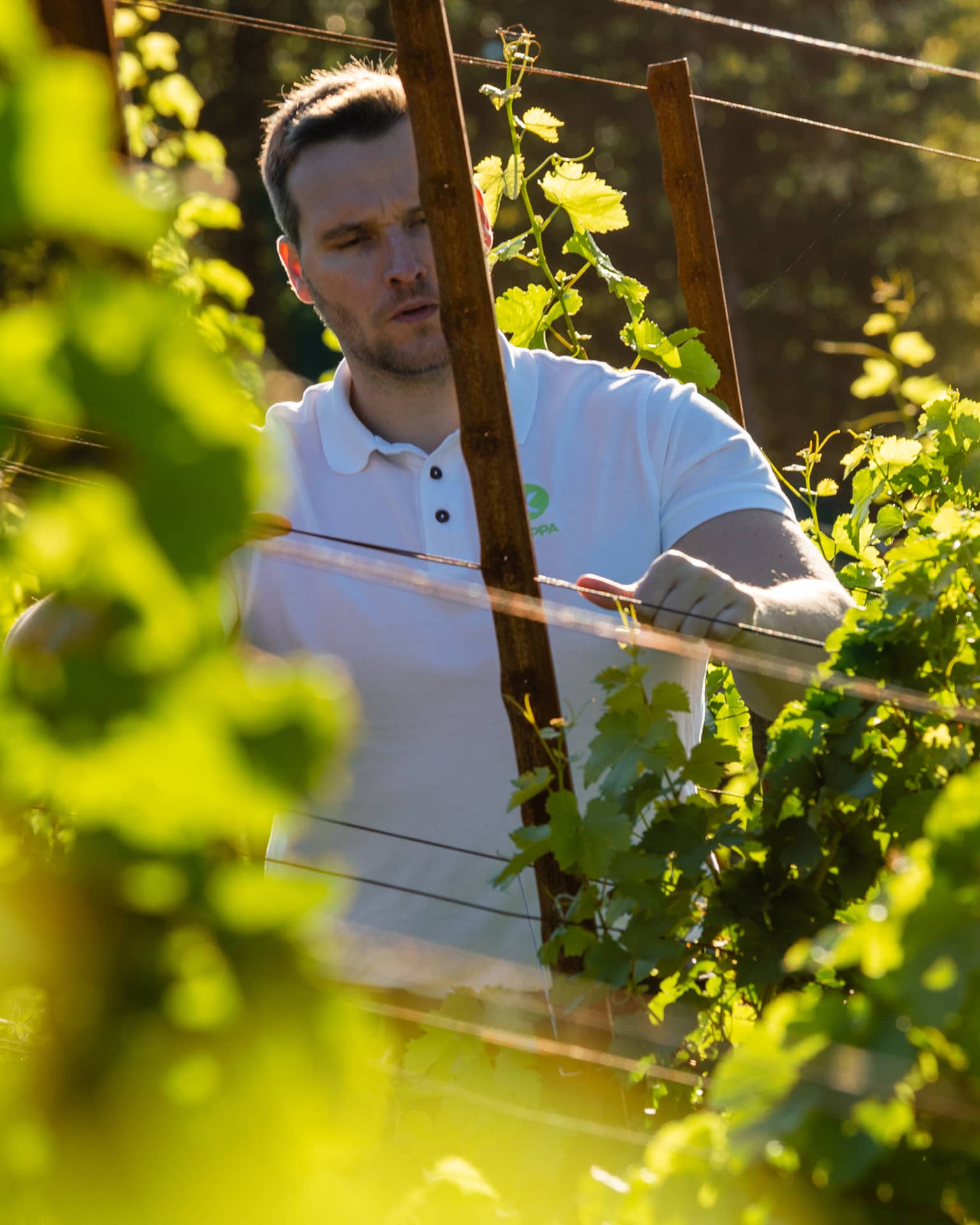 Businessfoto im Weingut